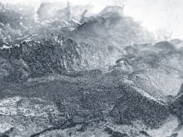 Platinum Plan Image